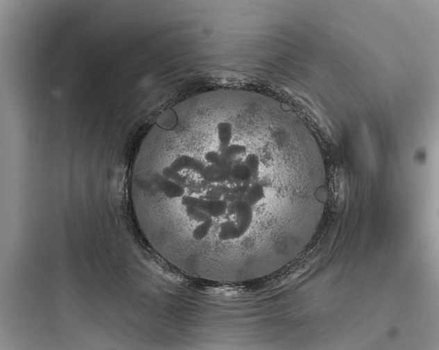 X0000097910511200803211507