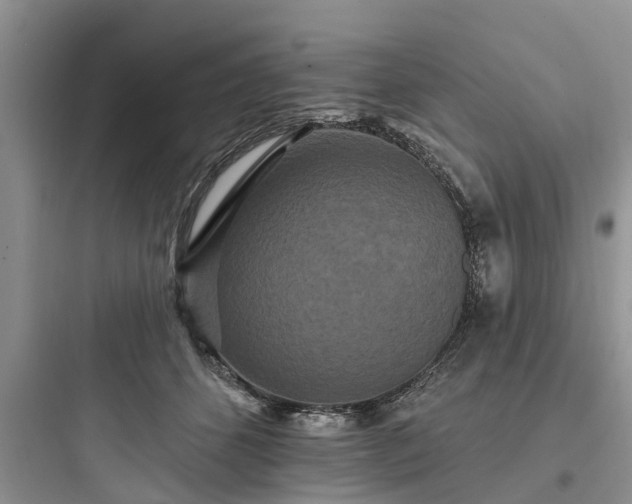 X0000097910512200803211507