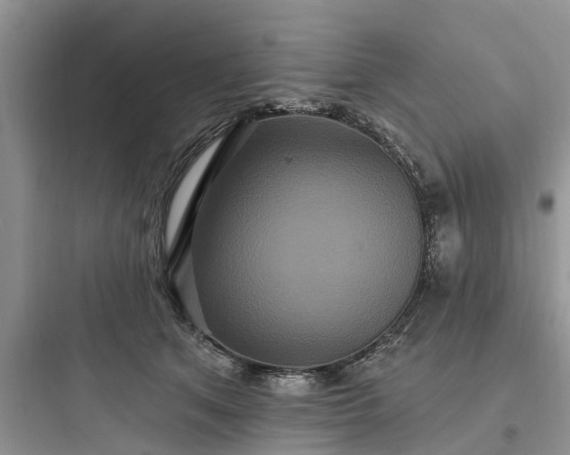 X0000097910513200803211507