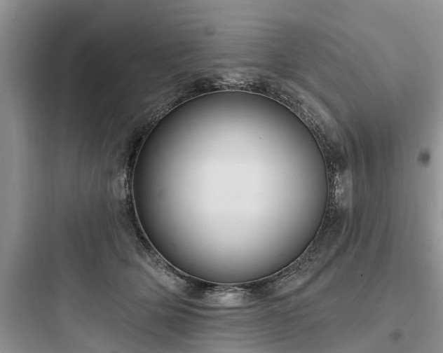 X0000097910514200803211507