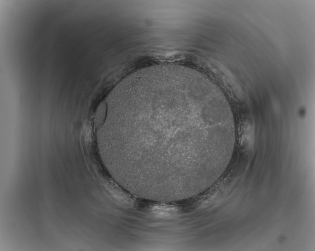 X0000097910515200803211507