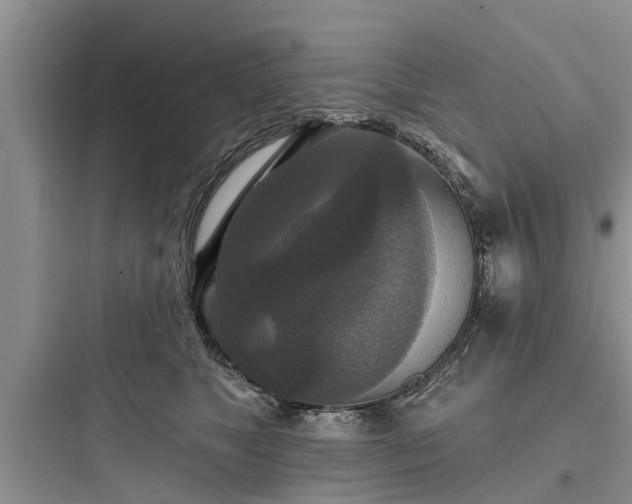 X0000097910517200803211507