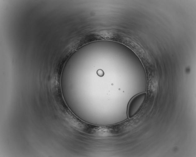 X0000097910518200803211507