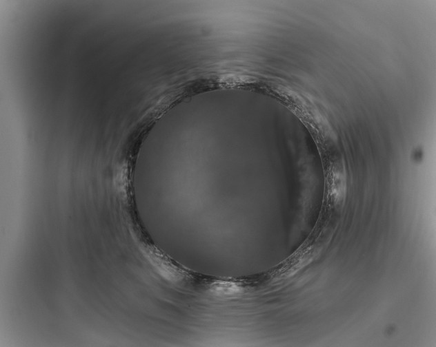 X0000097910519200803211507