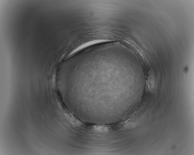 X0000097910520200803211507