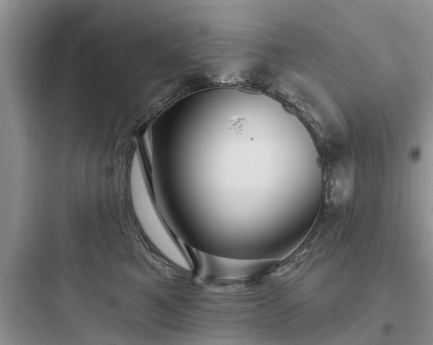 X0000097910521200803211507