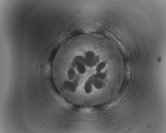 X0000097910523200803211507