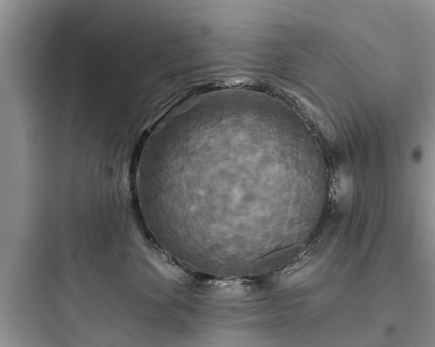 X0000097910524200803211507