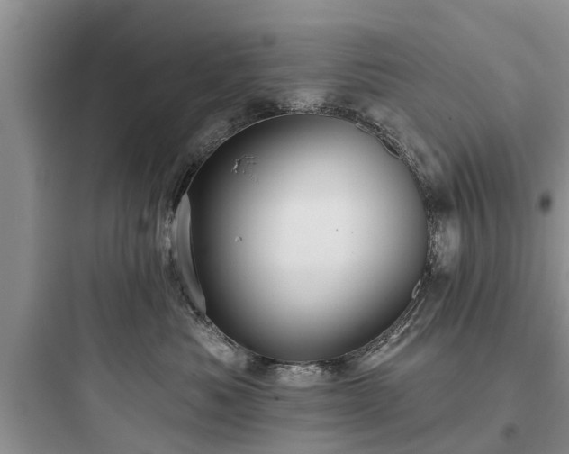 X0000097910525200803211507