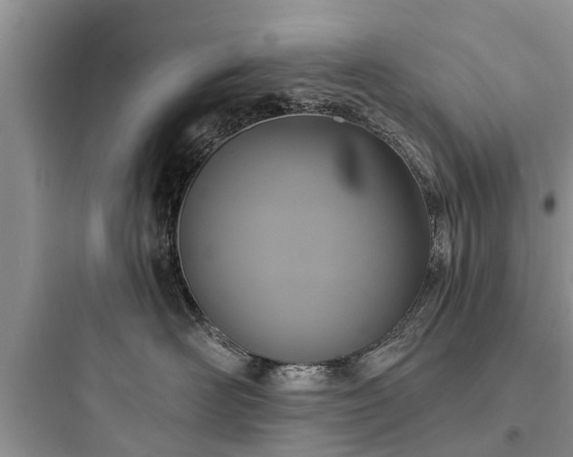 X0000097910526200803211507