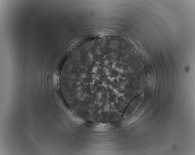 X0000097910527200803211507