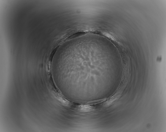 X0000097910528200803211507