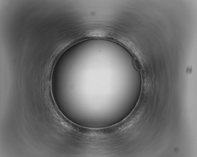 X0000097910529200803211507