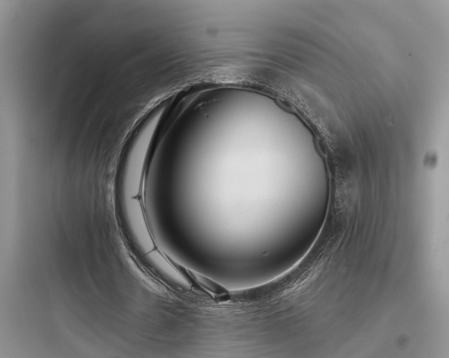 X0000097910530200803211507