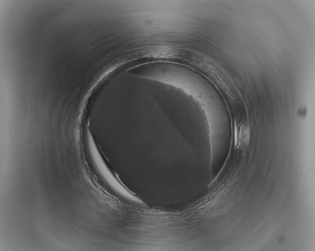 X0000097910531200803211507