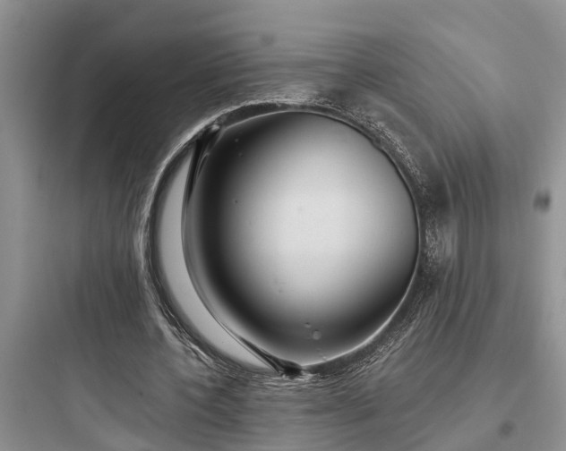 X0000097910532200803211507