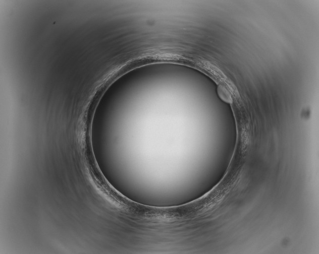 X0000097910533200803211507