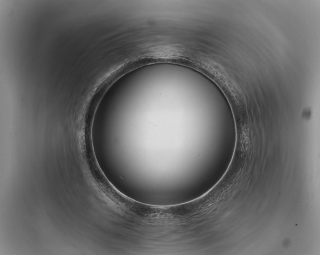 X0000097910535200803211507