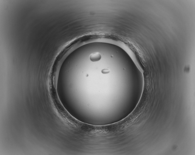 X0000097910536200803211507