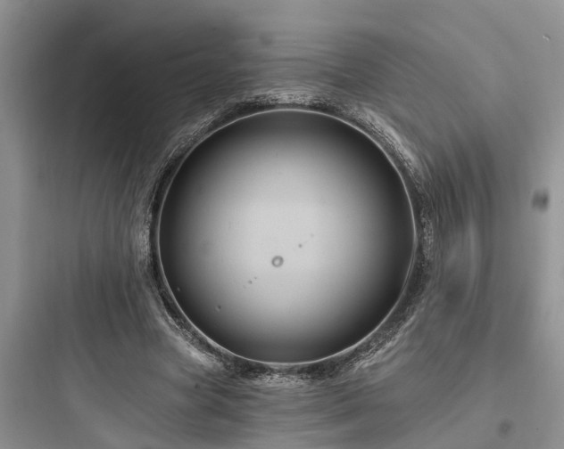 X0000097910537200803211507