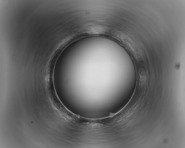 X0000097910539200803211507