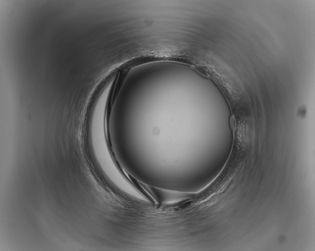 X0000097910540200803211507