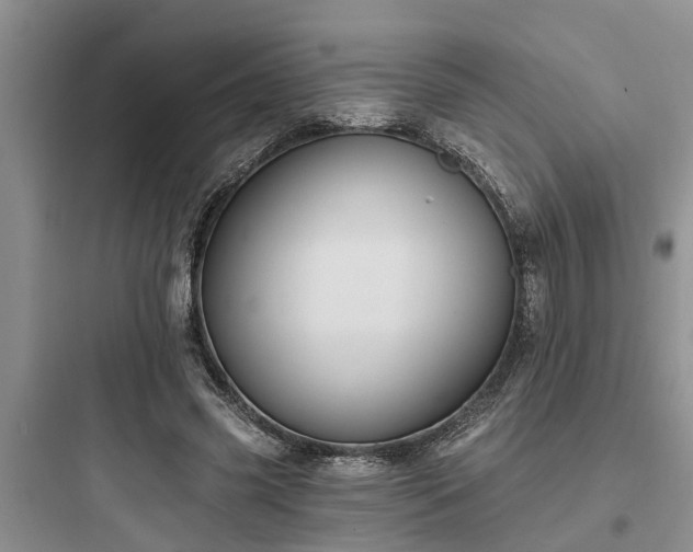 X0000097910541200803211507