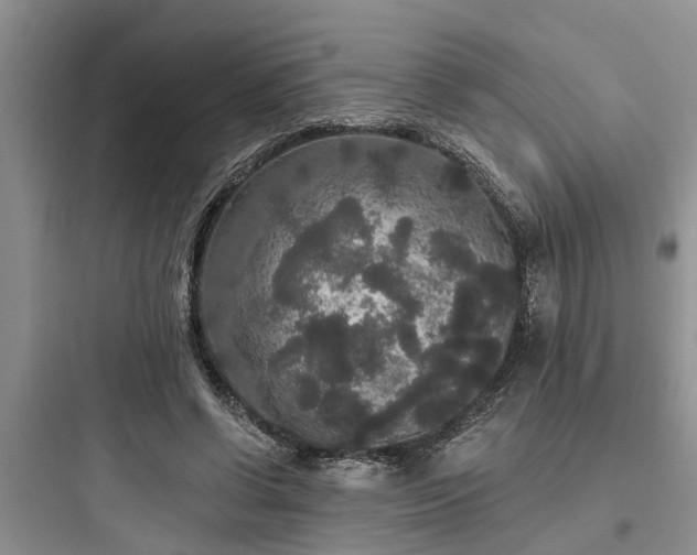 X0000097910542200803211507