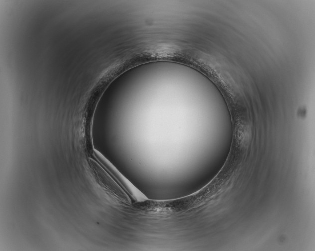 X0000097910543200803211507