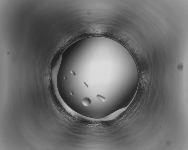 X0000097910544200803211507