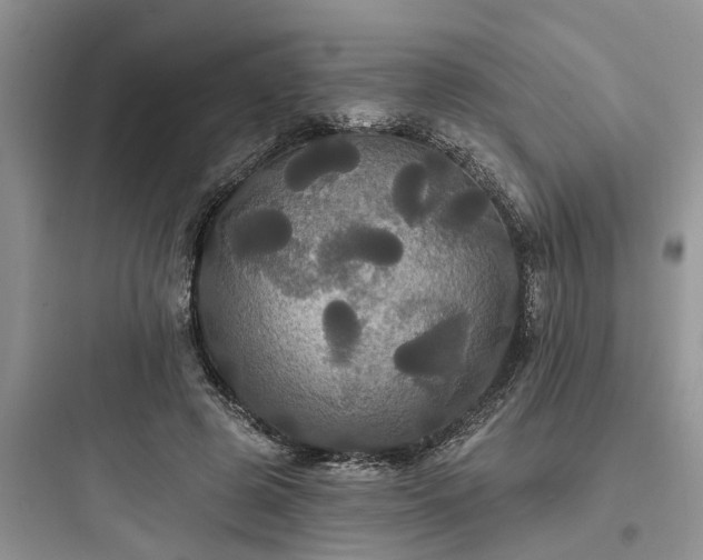 X0000097910545200803211507