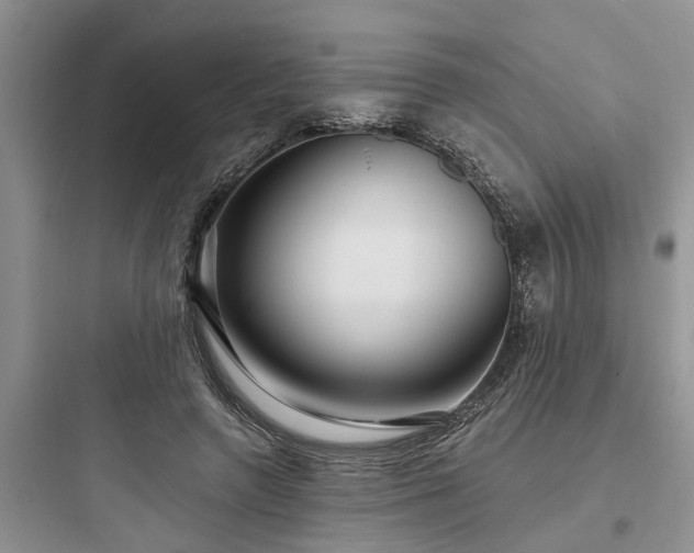 X0000097910546200803211507