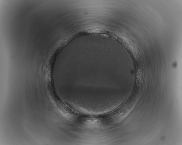 X0000097910547200803211507