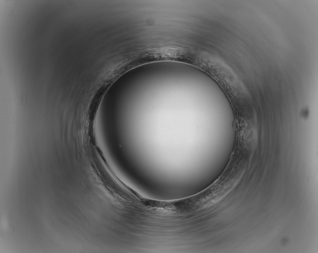 X0000097910548200803211507