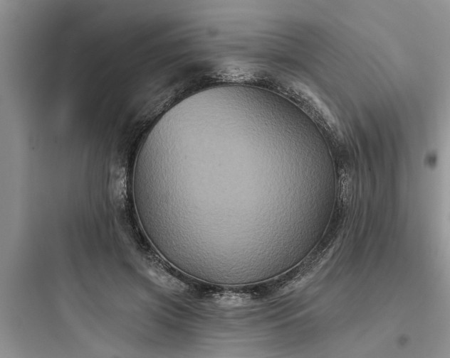 X0000097910549200803211507