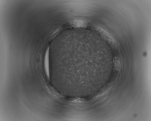 X0000097910550200803211507