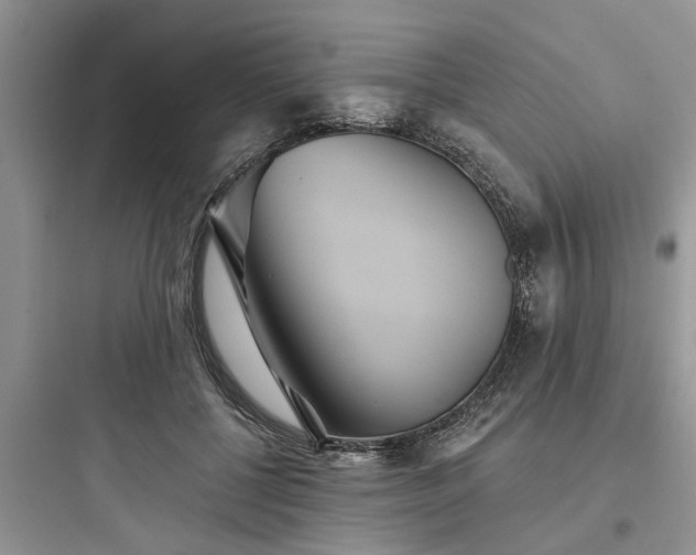 X0000097910552200803211507