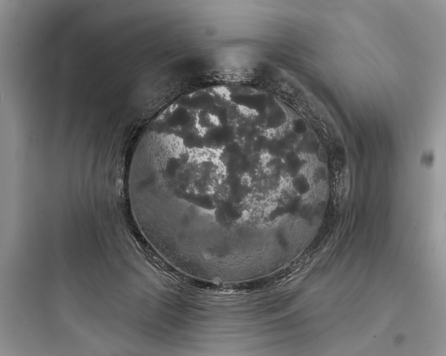 X0000097910553200803211507