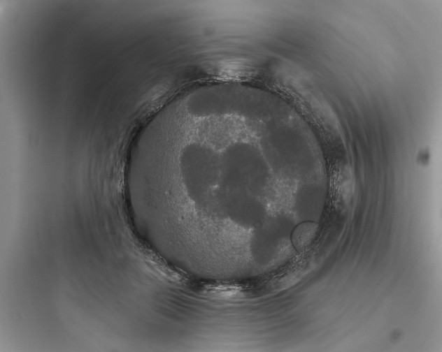 X0000097910554200803211507