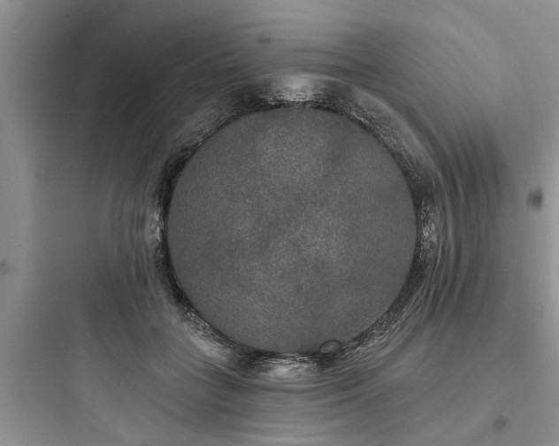 X0000097910555200803211507