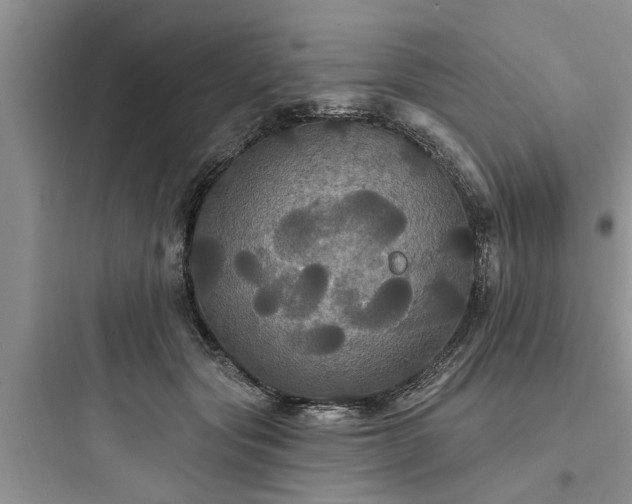 X0000097910557200803211507