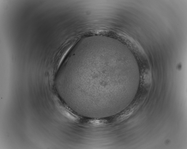 X0000097910558200803211507