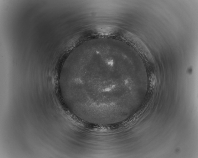 X0000097910559200803211507