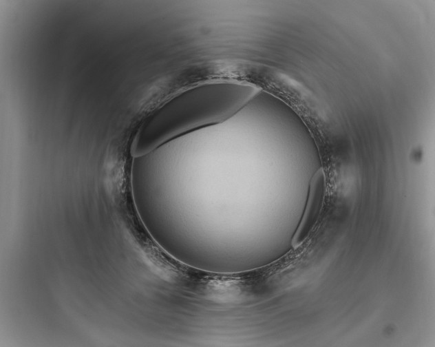 X0000097910560200803211507