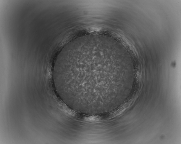 X0000097910561200803211507