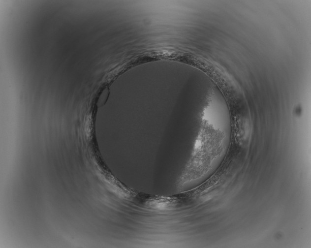 X0000097910563200803211507