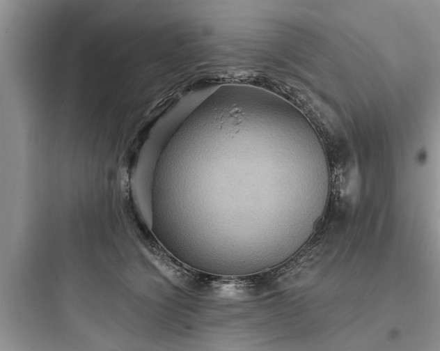 X0000097910564200803211507