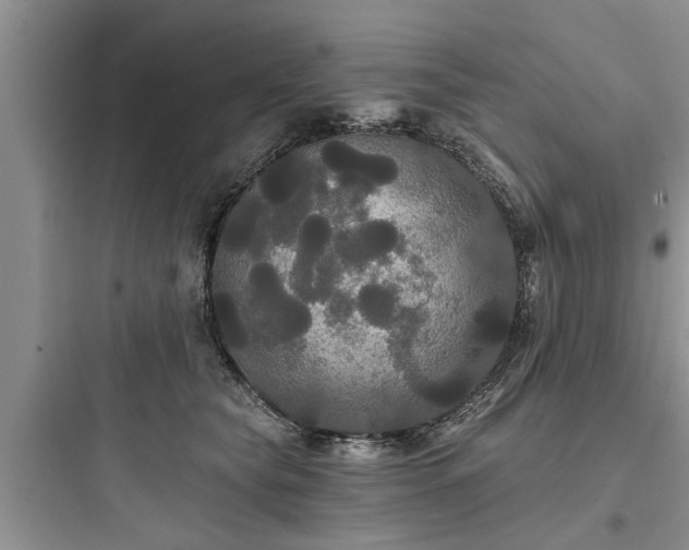 X0000097910565200803211507