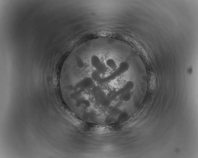 X0000097910569200803211507