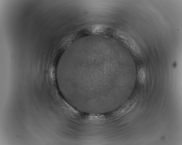 X0000097910571200803211507